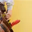 Handyman repair service in Hialeah, FL for home fixes and improvements